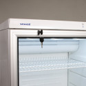 Шкаф холодильный SNAIGE CD35DM-S300SD10, 350 л 